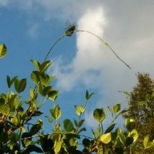 Meet your Posher, Kay